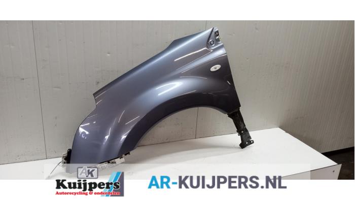Scherm links-voor - Renault Koleos
