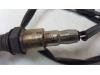 Lambda Sonde van een Volkswagen Golf VII (AUA) 1.6 16V 2016