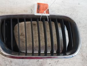Gebruikte Grille BMW 3-Serie Prijs € 10,00 Margeregeling aangeboden door Autodemontagebedrijf Smit