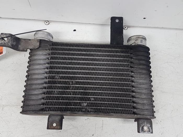 Gebruikte Intercooler Ssang Yong Rexton 2.9 TD RJ 290 Prijs € 95,00 Margeregeling aangeboden door Autodemontagebedrijf Smit