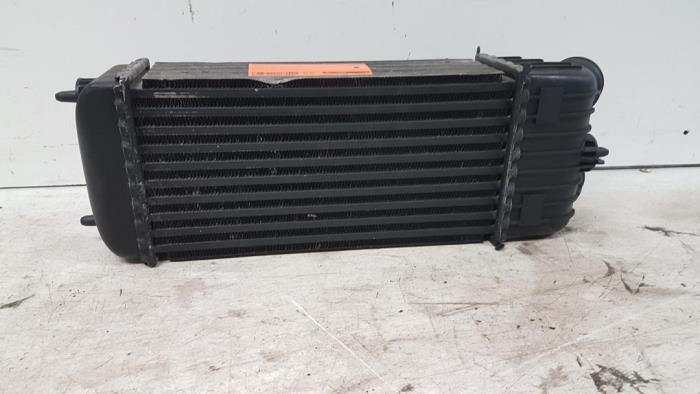 Gebruikte Intercooler Peugeot 207/207+ (WA/WC/WM) 1.6 HDi 16V Prijs € 25,00 Margeregeling aangeboden door Autodemontagebedrijf Smit
