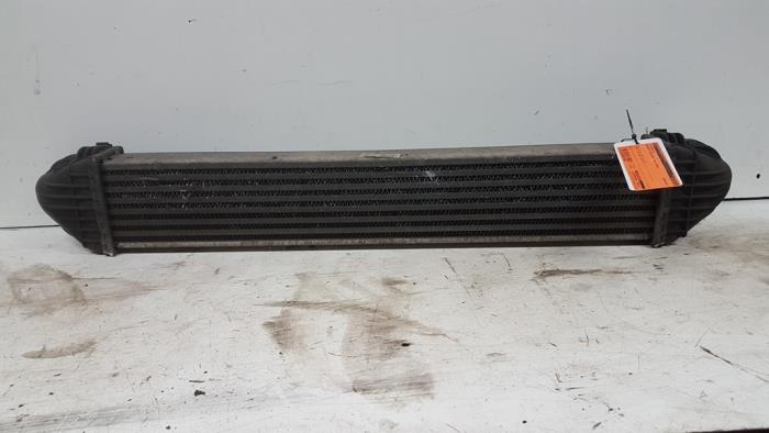 Gebruikte Intercooler Mercedes A (W169) 2.0 A-160 CDI 16V 5-Drs. Prijs € 15,00 Margeregeling aangeboden door Autodemontagebedrijf Smit