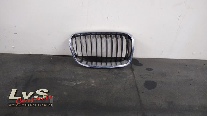 BMW 1-Serie Grille
