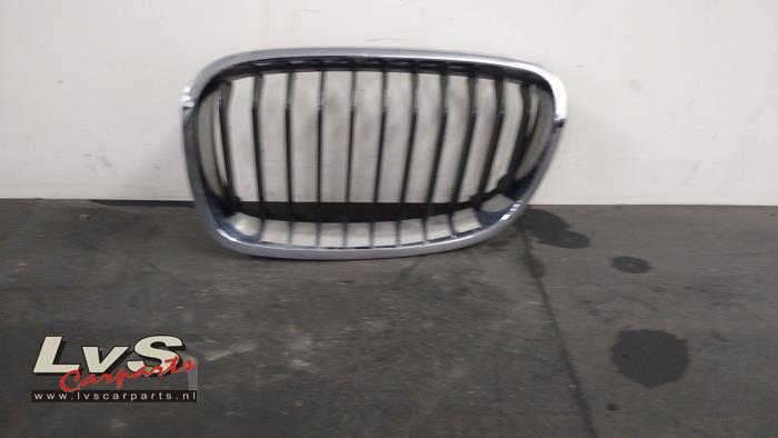 BMW 1-Serie Grille