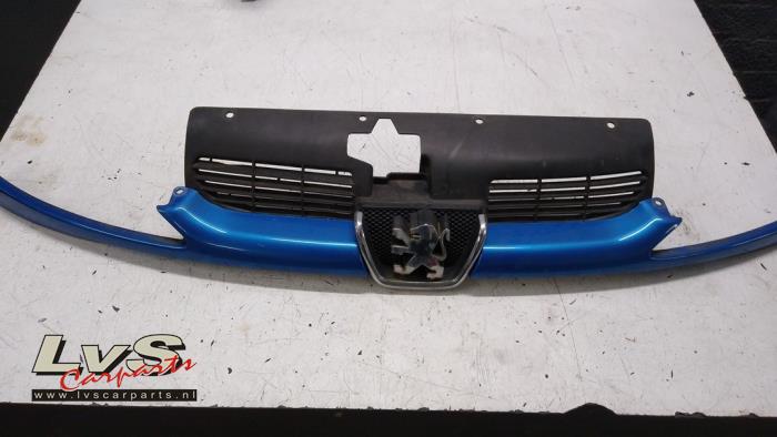 Peugeot 206 Grill