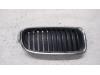BMW 3 serie Touring (F31) 320d 2.0 16V Grille