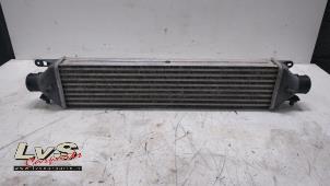 Gebruikte Intercooler Renault Scénic III (JZ) 1.5 dCi 110 Prijs € 50,00 Margeregeling aangeboden door LvS Carparts