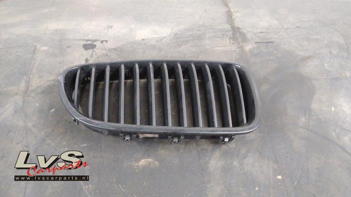 BMW 5-Serie Grille