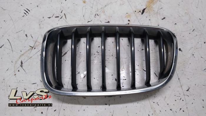 BMW 1-Serie Grille