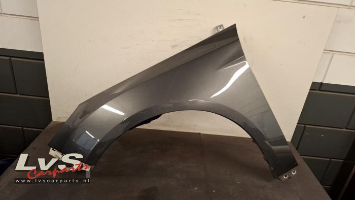 Ford Focus Scherm links-voor