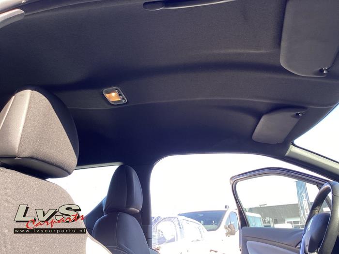 Citroen DS3 Dachverkleidung