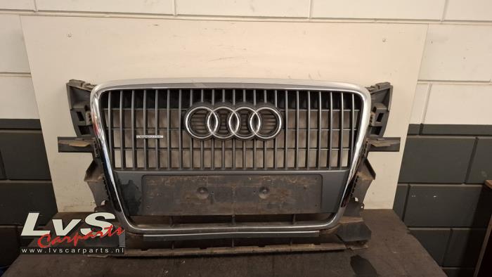 Audi Q5 Calandre