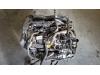 Ford Focus 4 1.5 EcoBoost 12V 150 Motor