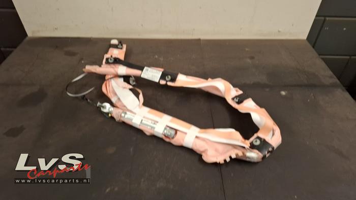 Ford Focus Roof curtain airbag, left