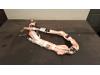 Ford Focus 4 1.5 EcoBoost 12V 150 Airbag hemel links