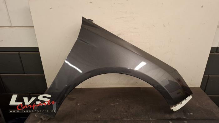 Ford Focus Scherm rechts-voor