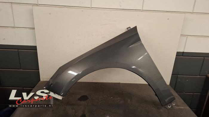 Ford Focus Scherm links-voor