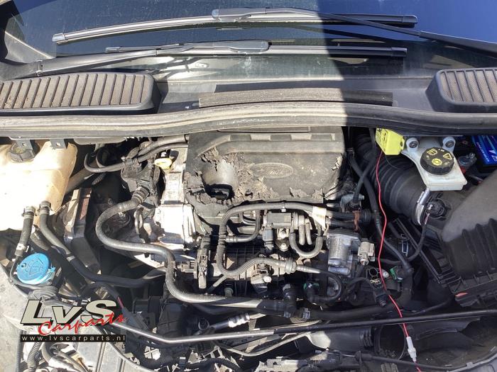 Ford C-Max Motor