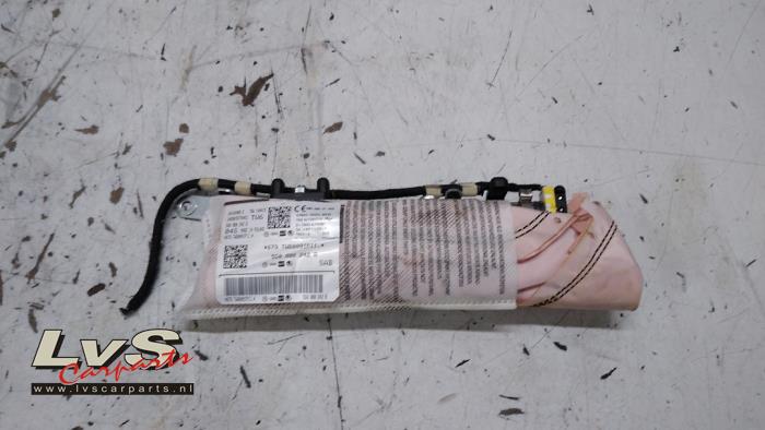 Volkswagen Golf Seat airbag (seat)