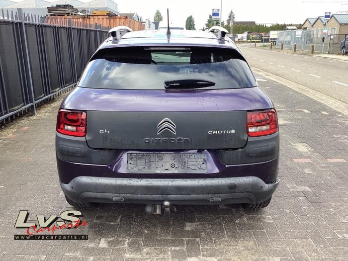 Citroen C4 Cactus Tailgate