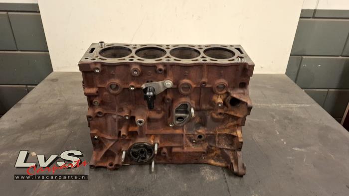 Ford Focus Motor Unterblock