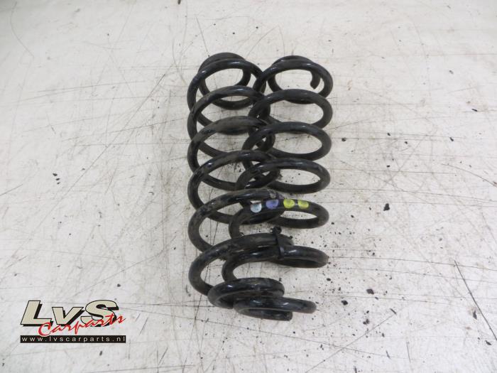 Volkswagen Passat Rear coil spring