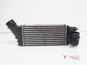 Gebruikte Intercooler Peugeot 308 SW (4E/H) 2.0 HDi 16V FAP Prijs € 50,00 Margeregeling aangeboden door Focus Automotive