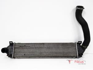 Gebruikte Intercooler Ford Focus 2 1.6 TDCi 16V 90 Prijs € 95,00 Margeregeling aangeboden door Focus Automotive