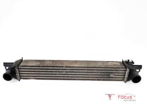 Gebruikte Intercooler Citroen Nemo (AA) 1.3 HDi 75 Prijs € 30,00 Margeregeling aangeboden door Focus Automotive