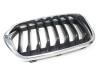BMW X2 (F39) sDrive 18d 2.0 16V Grille