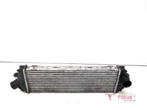 Gebruikte Intercooler Renault Trafic New (FL) 2.0 dCi 16V 90 Prijs € 20,00 Margeregeling aangeboden door Focus Automotive
