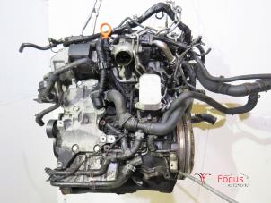 Gebruikte Motor Volkswagen Polo V (6R) 1.6 TDI 16V 90 Prijs € 1.095,00 Margeregeling aangeboden door Focus Automotive