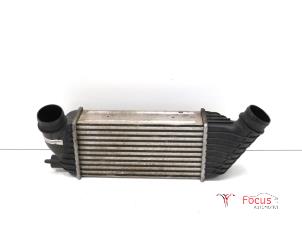 Gebruikte Intercooler Peugeot Expert (G9) 2.0 HDi 120 Prijs € 50,00 Margeregeling aangeboden door Focus Automotive