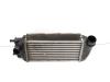 Intercooler van een Fiat 500 (312), 2007 1.3 MJTD 16V, Hatchback, Diesel, 1 248cc, 55kW (75pk), FWD, 169A1000, 2007-10, 312AXB 2008