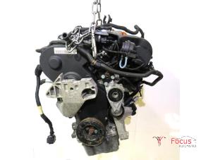 Gebruikte Motor Audi A3 Sportback (8PA) 2.0 FSI 16V Prijs € 950,00 Margeregeling aangeboden door Focus Automotive