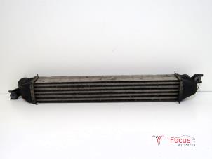 Gebruikte Intercooler Mini Countryman (R60) 1.6 16V One Prijs € 29,95 Margeregeling aangeboden door Focus Automotive