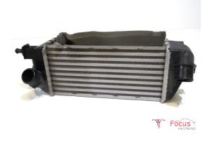 Gebruikte Intercooler Fiat 500 (312) 0.9 TwinAir 80 Prijs € 44,95 Margeregeling aangeboden door Focus Automotive