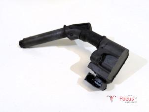 Gebruikte Pen Bobine Renault Scénic IV (RFAJ) 1.3 TCE 140 16V Prijs € 14,95 Margeregeling aangeboden door Focus Automotive