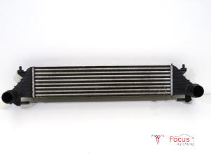 Gebruikte Intercooler Fiat Tipo (356W/357W) 1.3 D 16V Multijet Prijs € 34,95 Margeregeling aangeboden door Focus Automotive