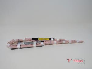 Gebruikte Hemel airbag links Ford EcoSport (JK8) 1.0 EcoBoost 12V 125 Prijs € 94,95 Margeregeling aangeboden door Focus Automotive