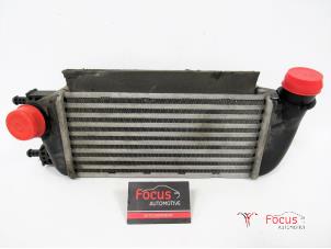 Gebruikte Intercooler Ford Ka II 1.3 TDCi 16V Prijs € 40,00 Margeregeling aangeboden door Focus Automotive
