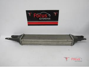 Gebruikte Intercooler Fiat Grande Punto (199) 1.3 JTD Multijet 16V Prijs € 35,00 Margeregeling aangeboden door Focus Automotive