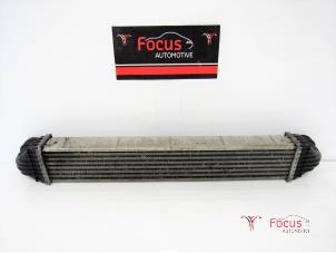 Gebruikte Intercooler Mercedes B (W245) 2.0 B-200 CDI 16V Prijs € 20,00 Margeregeling aangeboden door Focus Automotive
