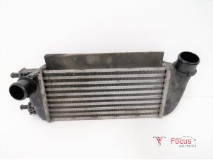 Gebruikte Intercooler Ford Ka II 1.3 TDCi 16V Prijs € 40,00 Margeregeling aangeboden door Focus Automotive