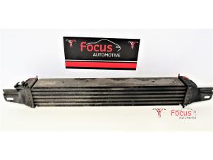 Gebruikte Intercooler Citroen Nemo (AA) 1.4 HDi 70 Prijs € 30,00 Margeregeling aangeboden door Focus Automotive