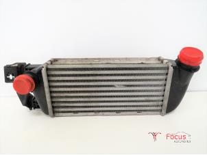 Gebruikte Intercooler Ford Ka II 1.3 TDCi 16V Prijs € 40,00 Margeregeling aangeboden door Focus Automotive