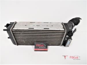 Gebruikte Intercooler Citroen Berlingo 1.6 Hdi 75 16V Phase 1 Prijs € 20,00 Margeregeling aangeboden door Focus Automotive