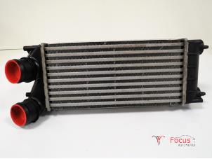 Gebruikte Intercooler Peugeot Partner (GC/GF/GG/GJ/GK) 1.6 HDI 75 16V Prijs € 35,00 Margeregeling aangeboden door Focus Automotive