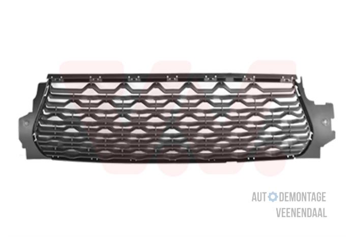 Grille Dacia Duster