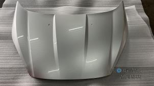 Nieuwe Motorkap Ford Fiesta 6 (JA8) Prijs € 419,87 Inclusief btw aangeboden door Autodeleninkleur